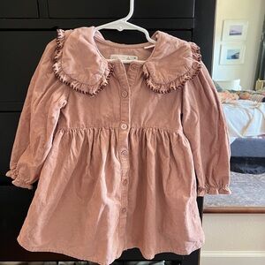Zara Dusty Rose Ruffle Collar Button-Front Dress